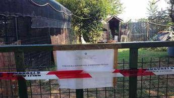 Maltrattamenti e detenzione illegale, sequestrato un canile nel Comasco Maltrattamenti e detenzione illegale, sequestrato un canile nel Comasco